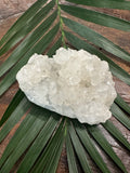 clear apophyllite crystal