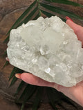 clear apophyllite crystal