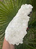clear apophyllite crystal