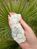 clear apophyllite crystal cluster