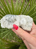 clear apophyllite crystal cluster