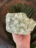 green apophyllite crystal
