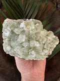 Green Apophyllite Specimen - 733 grams