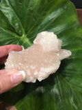 Pink apophyllite M5