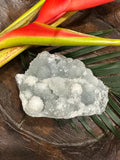 blue druzy apophyllite