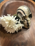 Onyx Crystal Skull