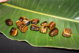 Tiger's Eye Crystal Tumble