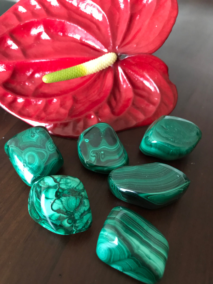 Malachite Crystal Tumble Tropica Exotica, LLC