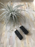 black tourmaline earrings