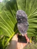 Amethyst Druzy on Stand (No.1)