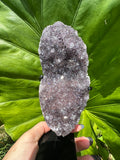 Amethyst Druzy on Stand (No.1)