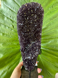 Amethyst crystal cluster held against a green leaf background