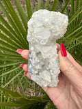 clear apophyllite crystal cluster