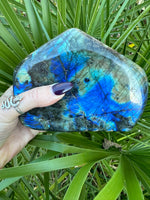 large flashy labradorite with green palm leaf behind it