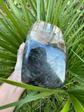 large 3.5 lbs labradorite - bottom in front of palm leaf