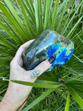 large high flash blue green labradorite in front of palm leaf