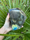 backside of large labradorite piece in front of green palm leaf