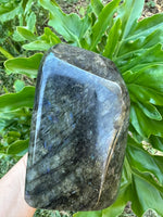 right blue labradorite freeform against a green leaf