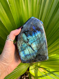 blue flash labradorite freeform slab specimen