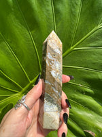 Ocean Jasper Tower Point 8