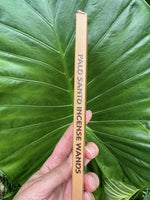 Palo Santo incense wand held in front of a large green leaf