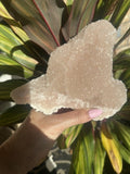 Pink Apophyllite Specimen — Natural Raw Crystal Cluster, Heart Chakra Stone, 1.6 lbs