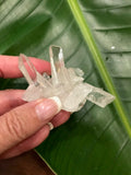 clear Quartz Cluster Q10