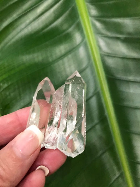 clear Quartz cluster Q1