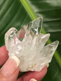 clear Quartz cluster Q4