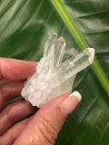 clear Quartz cluster Q6
