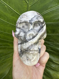 Polished Zebra Onyx Skull Carving – Banded Aragonite / Calcite (1.5 lbs)