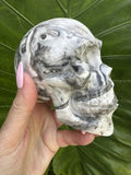 Polished Zebra Onyx Skull Carving – Banded Aragonite / Calcite (1.5 lbs)