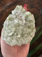 a light Green Apophyllite Crystal being held in a woman's hand over a green leaf in a wooden bowl