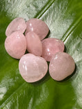 several pink rose quartz crystal hearts on a green leaf