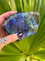 high flash blue labradorite freeform crystal