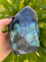 blue flash labradorite freeform slab specimen