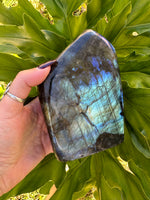 blue flash labradorite freeform slab specimen