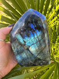 blue flash labradorite freeform slab specimen