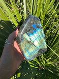 blue flash labradorite freeform slab specimen