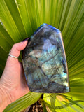 blue flash labradorite freeform slab specimen