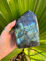 blue flash labradorite freeform slab specimen