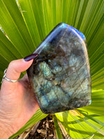 blue flash labradorite freeform slab specimen