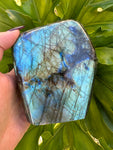 Labradorite Free Form Crystal