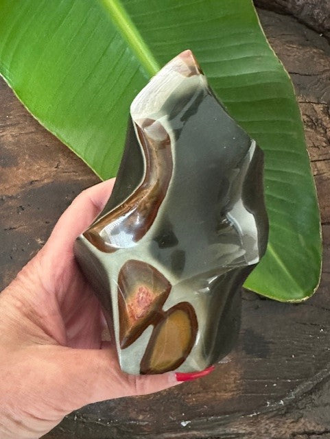 Polychrome Jasper Flame 1.5 lbs – Tropica Exotica, LLC