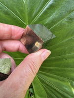 hand holding a small pyrite cube against a green leaf 3