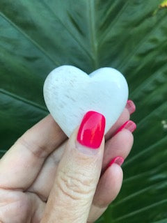 Hand holding a white object with pink nail polish against a green leafy background