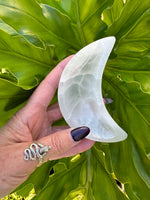 person holding a white crescent half moon against a  leaf background