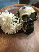 Onyx Crystal Skull