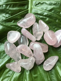 rose quartz crystal tumbles